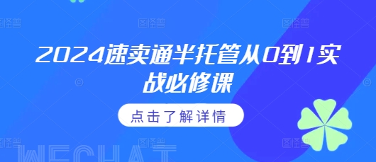 2024速卖通半托管从0到1实战必修课,掌握通投广告打法、熟悉速卖通半托管的政策细节-风淘社