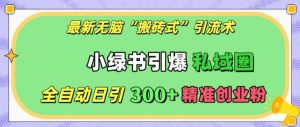 最新无脑“搬砖式”引流术,小绿书引爆私域圈,全自动日引300+精准创业粉【揭秘】-风淘社