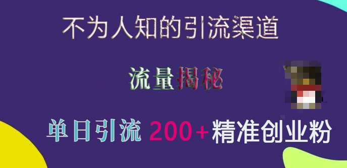 不为人知的引流渠道,流量揭秘,实测单日引流200+精准创业粉【揭秘】-风淘社
