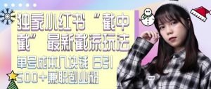 最新小红书截流玩法 独家截中截 单号成本几块钱 日引500+CY粉JZ粉-风淘社