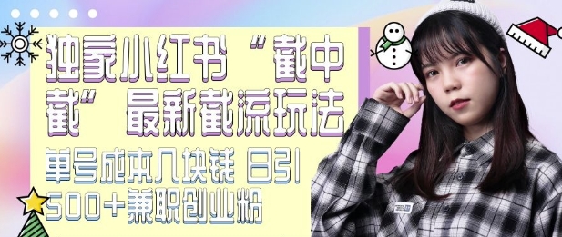 最新小红书截流玩法 独家截中截 单号成本几块钱 日引500+CY粉JZ粉-风淘社