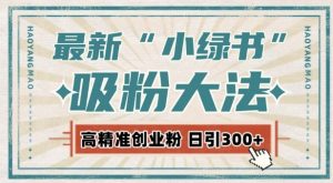 最新自动化“吸粉术”,小绿书激活私域流量,每日轻松吸引300+高质精准粉!-风淘社
