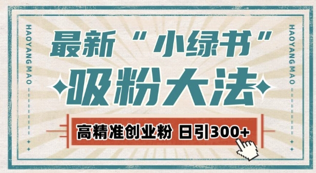 最新自动化“吸粉术”,小绿书激活私域流量,每日轻松吸引300+高质精准粉!-风淘社