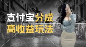 支付宝分成计划新玩法,利用交通事故视频,赚收益,轻松月入过W,操作简单【揭秘】-风淘社