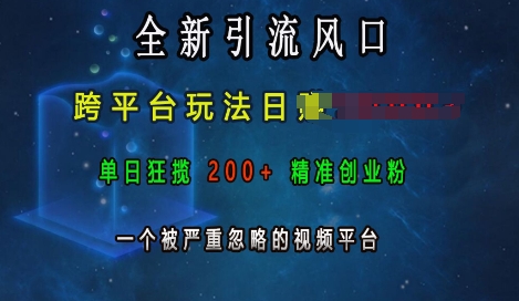 全新引流风口，跨平台玩法日入上k，单日狂揽200+精准创业粉，一个被严重忽略的视频平台-风淘社