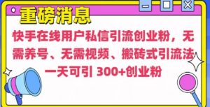 快手最新引流创业粉方法,无需养号、无需视频、搬砖式引流法【揭秘】-风淘社