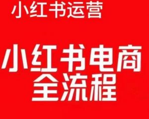 红薯电商实操课,小红书电商全流程-风淘社