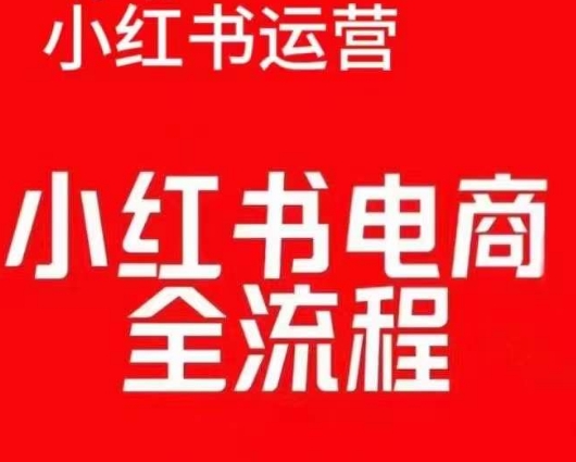 红薯电商实操课,小红书电商全流程-风淘社