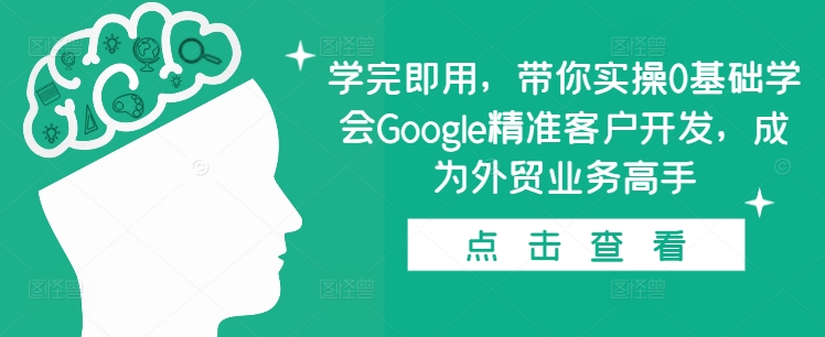 学完即用,带你实操0基础学会Google精准客户开发,成为外贸业务高手-风淘社