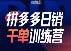 拼多多日销千单训练营第31期-微付费带免费流玩法-风淘社