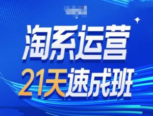 淘系运营21天速成班第34期-搜索最新玩法和25年搜索趋势-风淘社