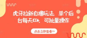 虎牙拉新自撸玩法,单个后台每天100+,可批量操作-风淘社