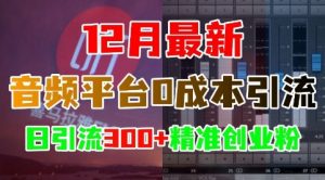 12月最新:音频平台0成本引流,日引流300+精准创业粉-风淘社