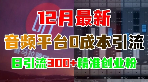 12月最新：音频平台0成本引流，日引流300+精准创业粉-风淘社