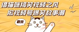 借猫咪搞笑视频之风,掀视频号爆笑故事潮,轻松日入四位数,无门槛快速入门!-风淘社