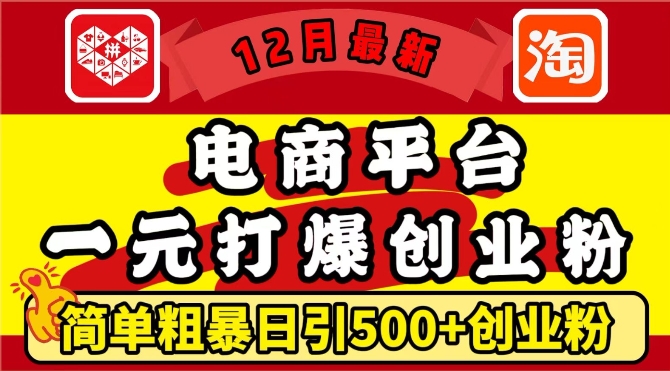 12月最新:电商平台1元打爆创业粉,简单粗暴日引500+精准创业粉,轻松月入过W【揭秘】-风淘社