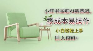 小红书减肥AI新赛道，零成本易操作，日入多张，小白轻松上手【揭秘】-风淘社