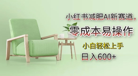 小红书减肥AI新赛道，零成本易操作，日入多张，小白轻松上手【揭秘】-风淘社