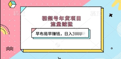 视频号年货项目,流量贼猛,早布局早挣钱,日入上k【揭秘】-风淘社