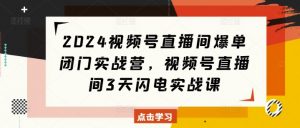 2024视频号直播间爆单闭门实战营,视频号直播间3天闪电实战课-风淘社