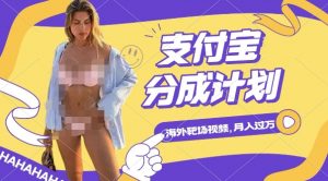 利用海外靶场射击视频,挣支付宝分成收益,轻松月入过W【揭秘】-风淘社