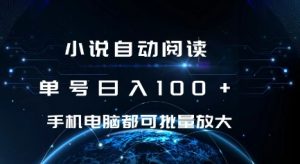 小说自动阅读 单号日入100+ 手机电脑都可 批量放大操作【揭秘】-风淘社