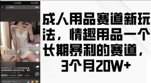 成人用品赛道新玩法,情趣用品一个长期暴利的赛道,3个月收益20个【揭秘】-风淘社