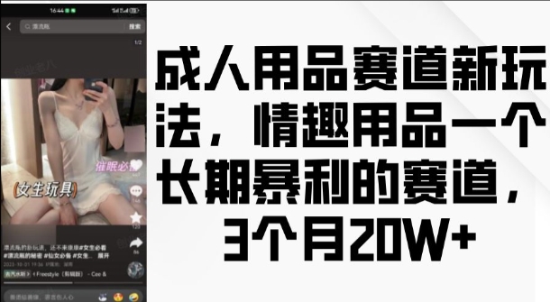 成人用品赛道新玩法,情趣用品一个长期暴利的赛道,3个月收益20个【揭秘】-风淘社