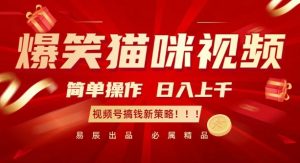 爆笑猫咪视频：简单操作，日入过K，视频号搞钱新策略【揭秘】-风淘社