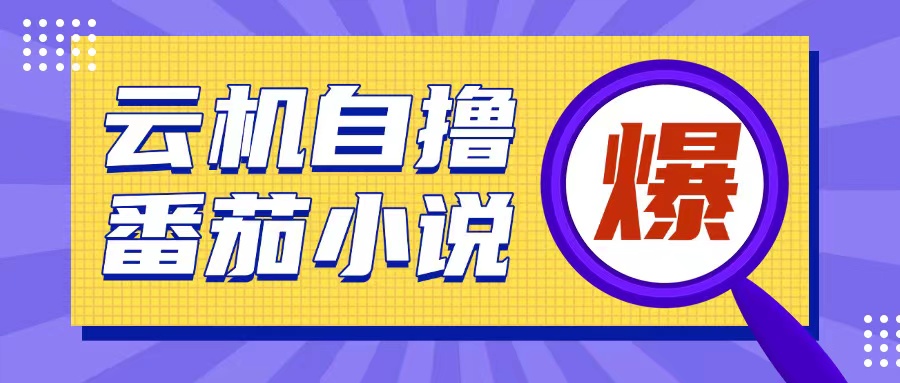 首发云手机自撸小说玩法,10块钱成本可撸200+收益操作简单【揭秘】-风淘社