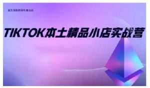 TikTok本土精品小店出海实战营,从入门到高阶,不止0-1!-风淘社