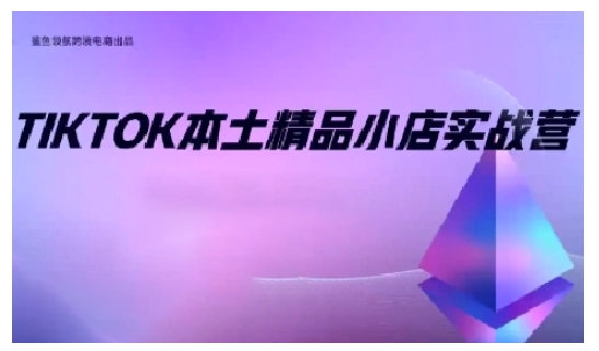 TikTok本土精品小店出海实战营,从入门到高阶,不止0-1!-风淘社