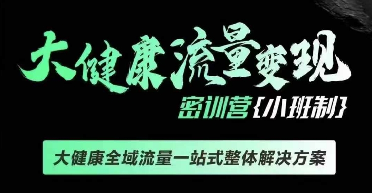 千万级大健康变现课线下课，大健康全域流量一站式整体解决方案-风淘社
