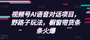 视频号AI语音对话项目，野路子玩法，橱窗带货条条火爆-风淘社
