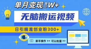 无脑搬运视频号可批量复制,新手即可操作,日引精准创业粉300+,月变现过W 【揭秘】-风淘社