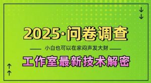 2025问卷调查最新工作室技术解密:一个人在家也可以闷声发大财,小白一天2张,可矩阵放大【揭秘】-风淘社
