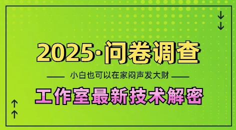 2025问卷调查最新工作室技术解密:一个人在家也可以闷声发大财,小白一天2张,可矩阵放大【揭秘】-风淘社