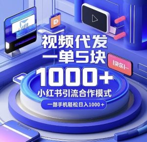 视频代发，一单5块，小红书引流合作模式，一部手机轻松日入多张【揭秘】-风淘社