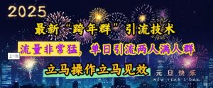 最新“跨年群”引流，流量非常猛，单日引流两人满人群，立马操作立马见效【揭秘】-风淘社