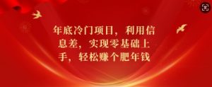 年底冷门项目，利用信息差，实现零基础上手，轻松赚个肥年钱【揭秘】-风淘社