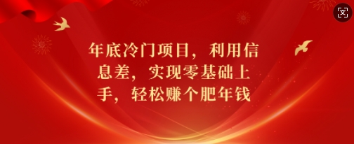 年底冷门项目,利用信息差,实现零基础上手,轻松赚个肥年钱【揭秘】-风淘社