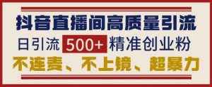 抖音直播间引流创业粉,无需连麦、不用上镜、超暴力,日引流500+高质量精准创业粉-风淘社