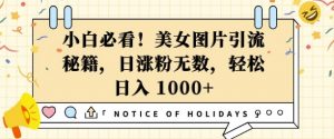小白必看，美女图片引流秘籍，日涨粉无数，轻松日入几张【揭秘】-风淘社