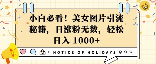 小白必看，美女图片引流秘籍，日涨粉无数，轻松日入几张【揭秘】-风淘社