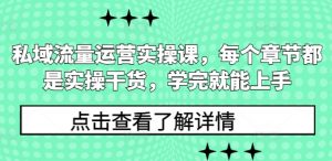 私域流量运营实操课,每个章节都是实操干货,学完就能上手-风淘社