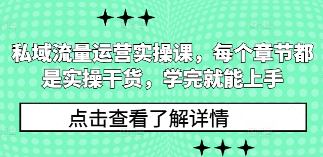 私域流量运营实操课,每个章节都是实操干货,学完就能上手-风淘社