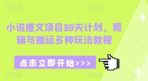 小说推文项目38天计划,剪辑与搬运多种玩法教程-风淘社