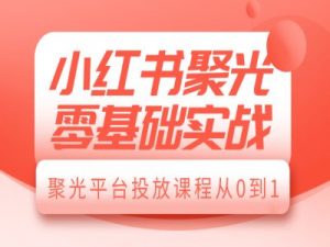 小红书聚光零基础实战，聚光平台投放课程从0到1-风淘社