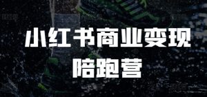 小红书商业变现陪跑营,小红书电商教程-风淘社