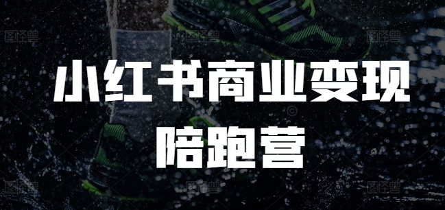小红书商业变现陪跑营,小红书电商教程-风淘社